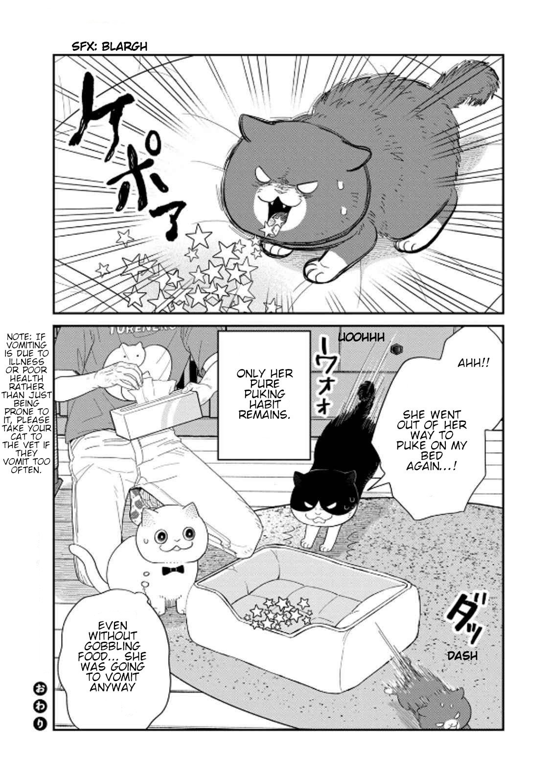 Cat Partners: Maruru and Hachi chapter 39 page 14