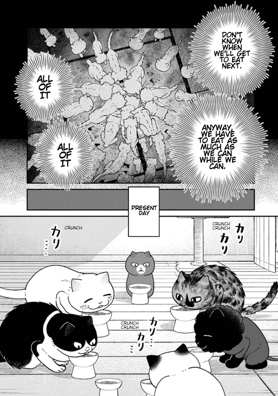 Cat Partners: Maruru and Hachi chapter 39 page 2