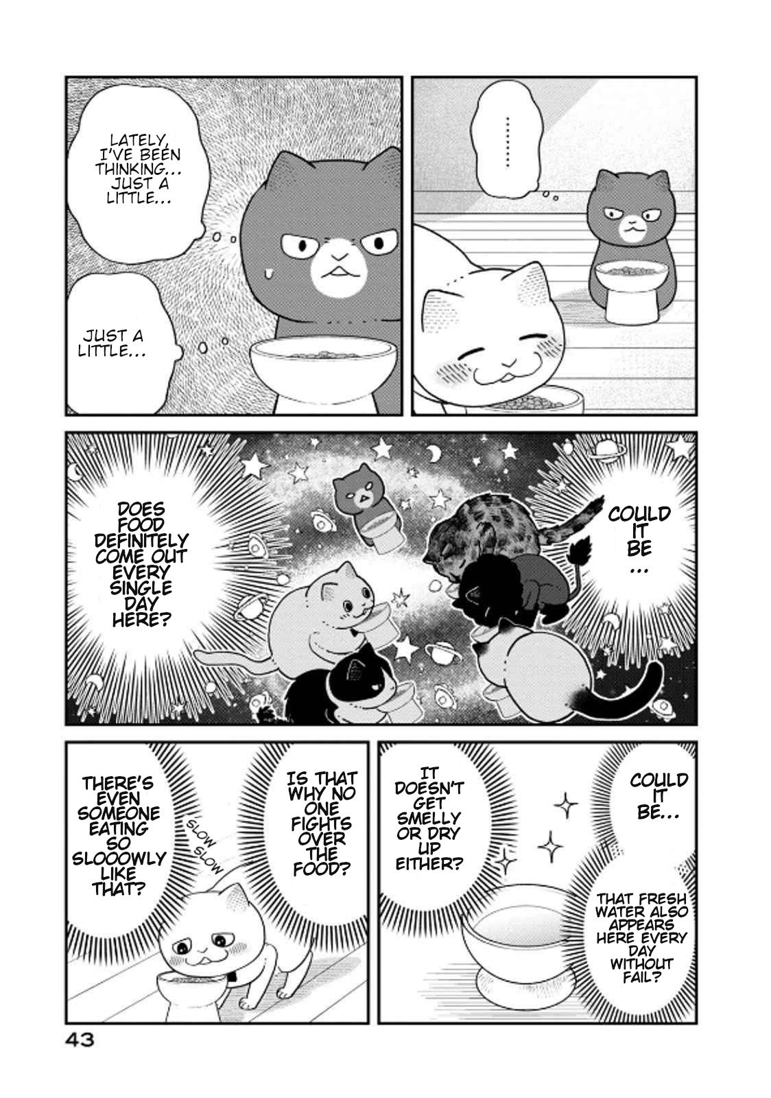 Cat Partners: Maruru and Hachi chapter 39 page 3