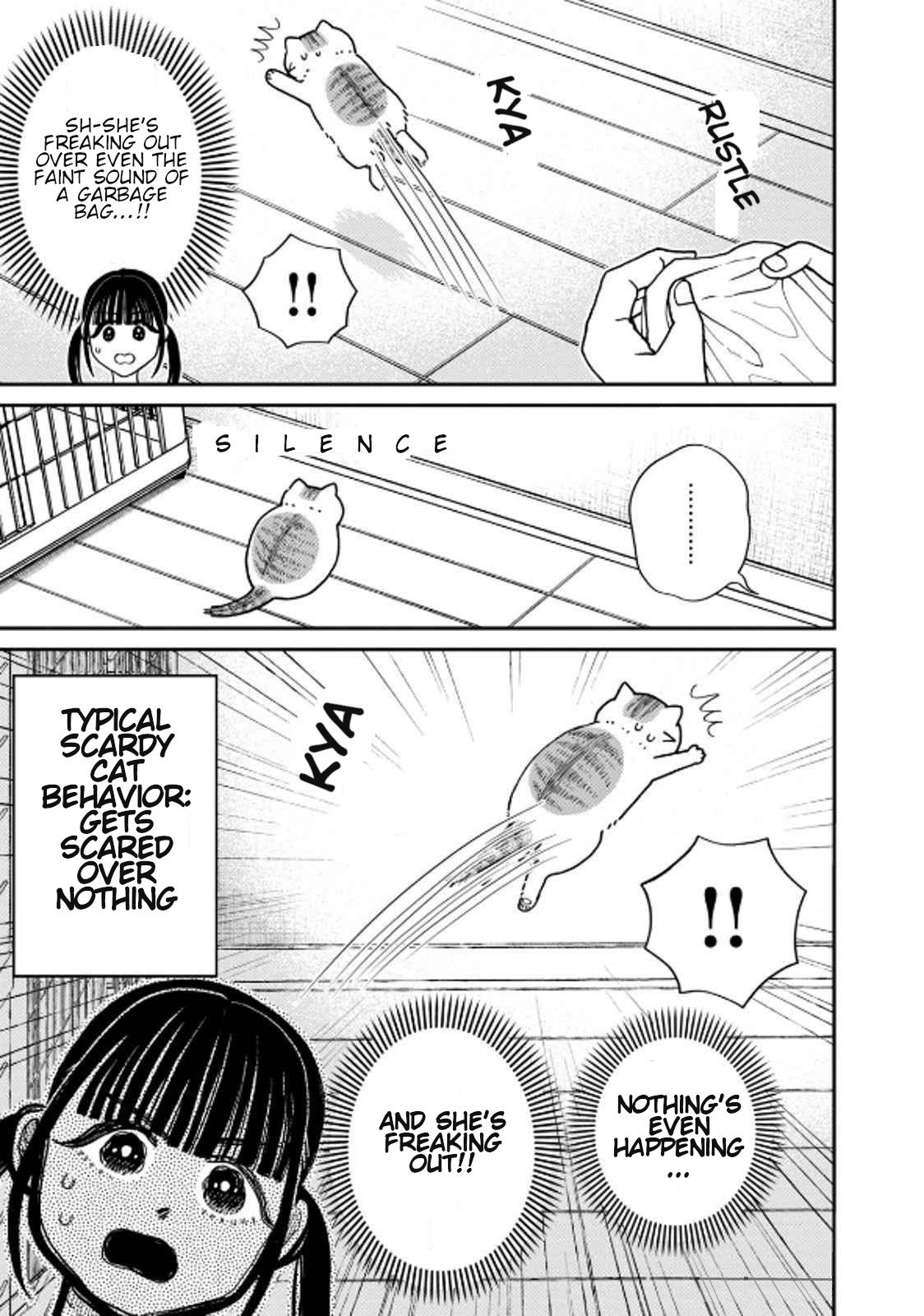 Cat Partners: Maruru and Hachi chapter 39 page 9