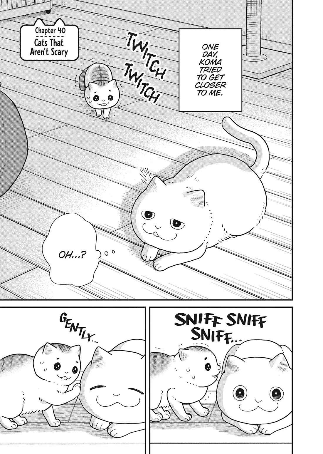 Cat Partners: Maruru and Hachi chapter 40 page 1