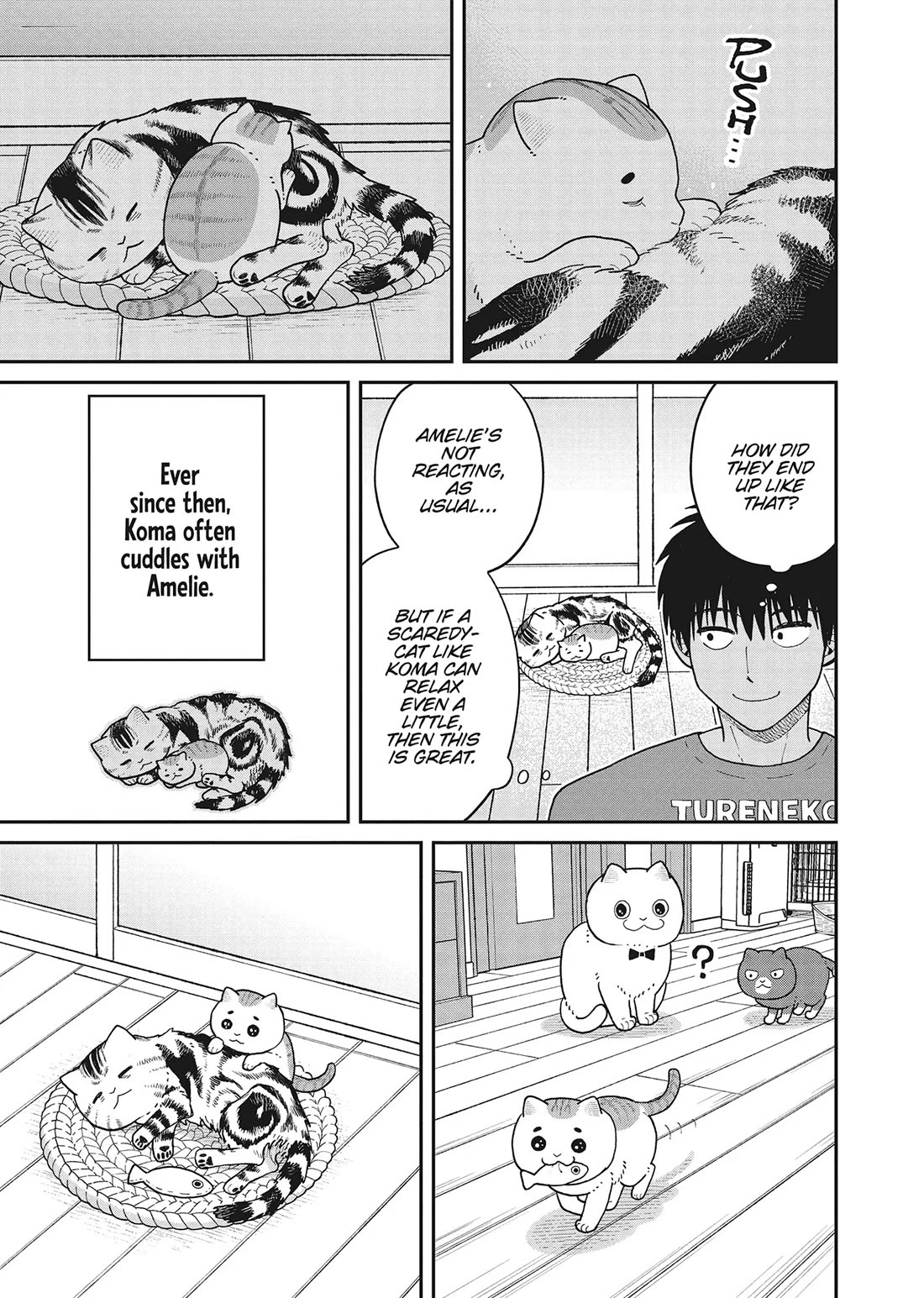 Cat Partners: Maruru and Hachi chapter 40 page 11