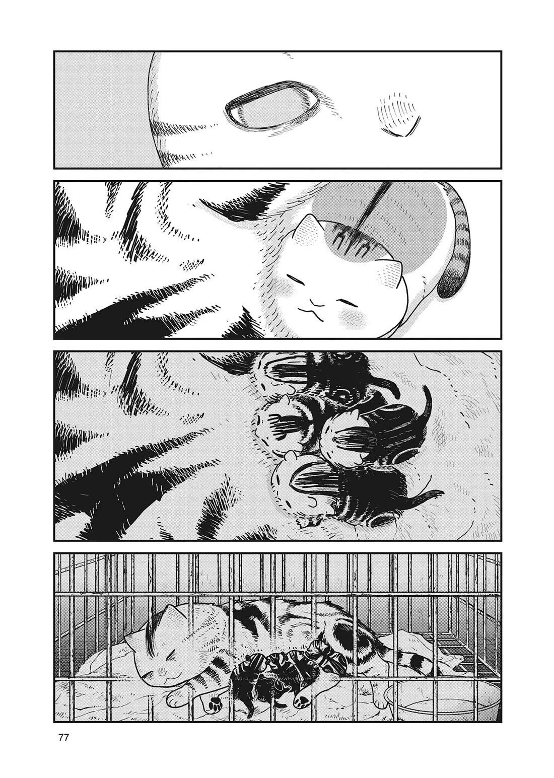 Cat Partners: Maruru and Hachi chapter 40 page 13