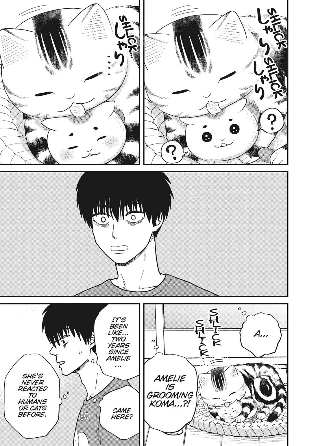 Cat Partners: Maruru and Hachi chapter 40 page 15