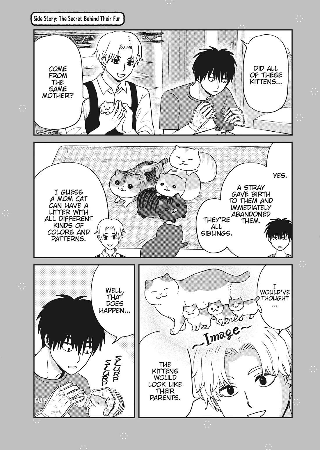 Cat Partners: Maruru and Hachi chapter 40 page 19