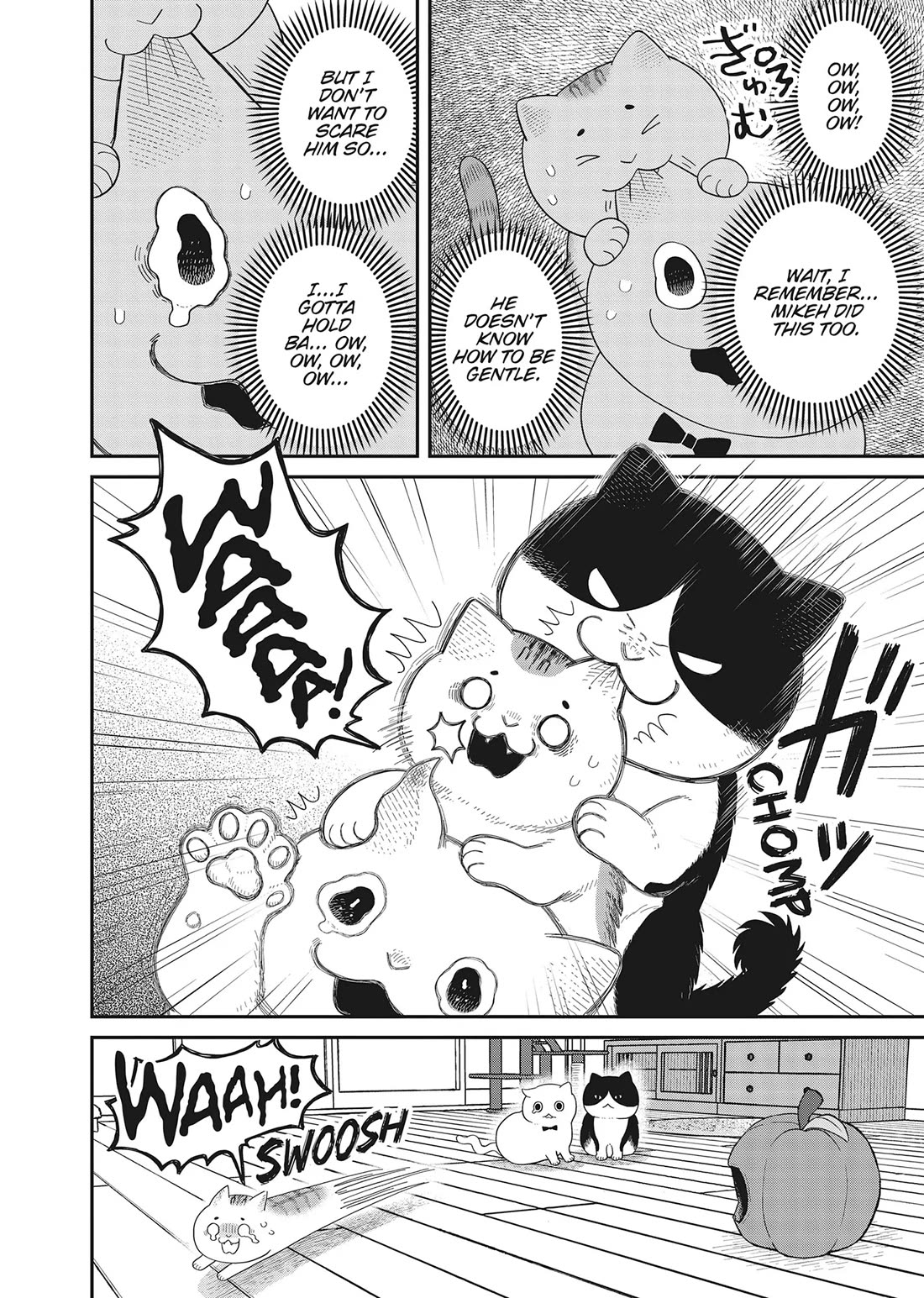 Cat Partners: Maruru and Hachi chapter 40 page 4
