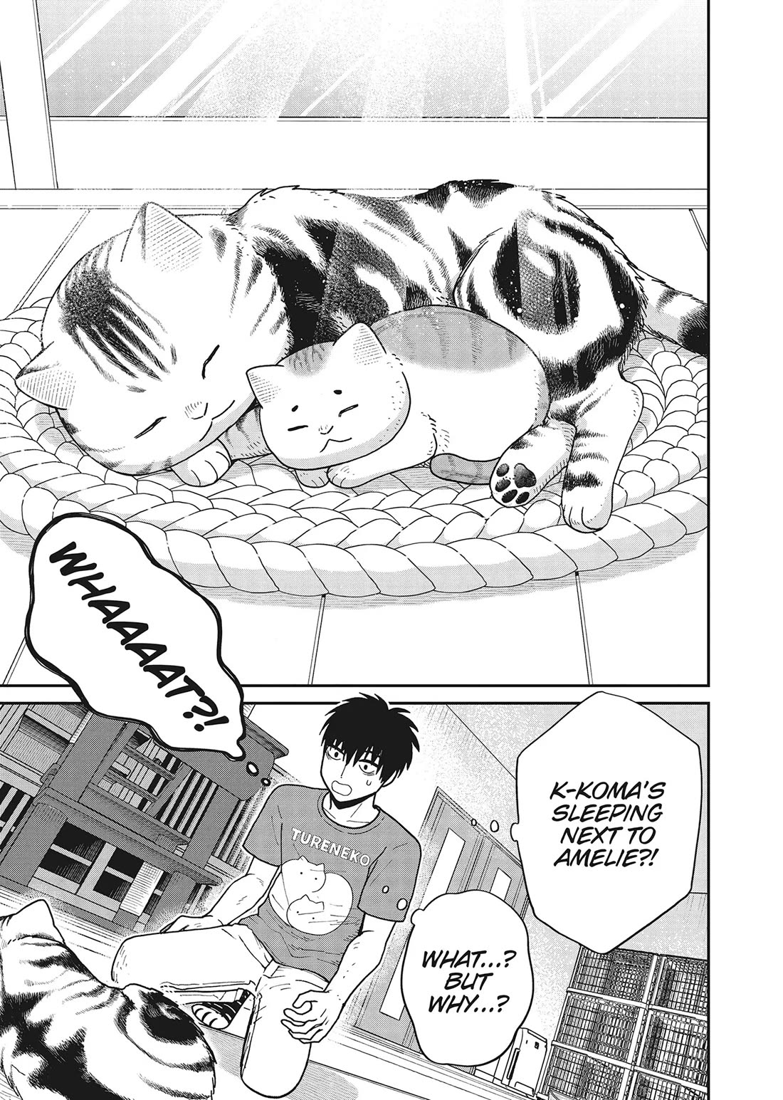 Cat Partners: Maruru and Hachi chapter 40 page 9