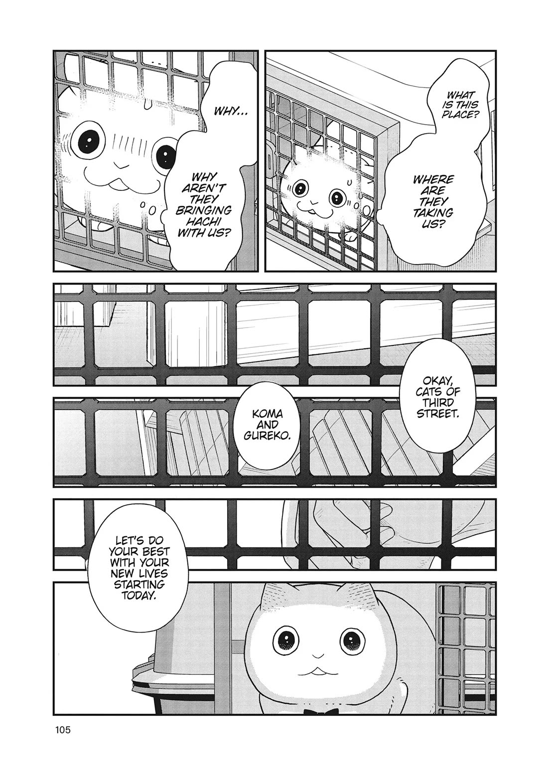 Cat Partners: Maruru and Hachi chapter 41 page 11