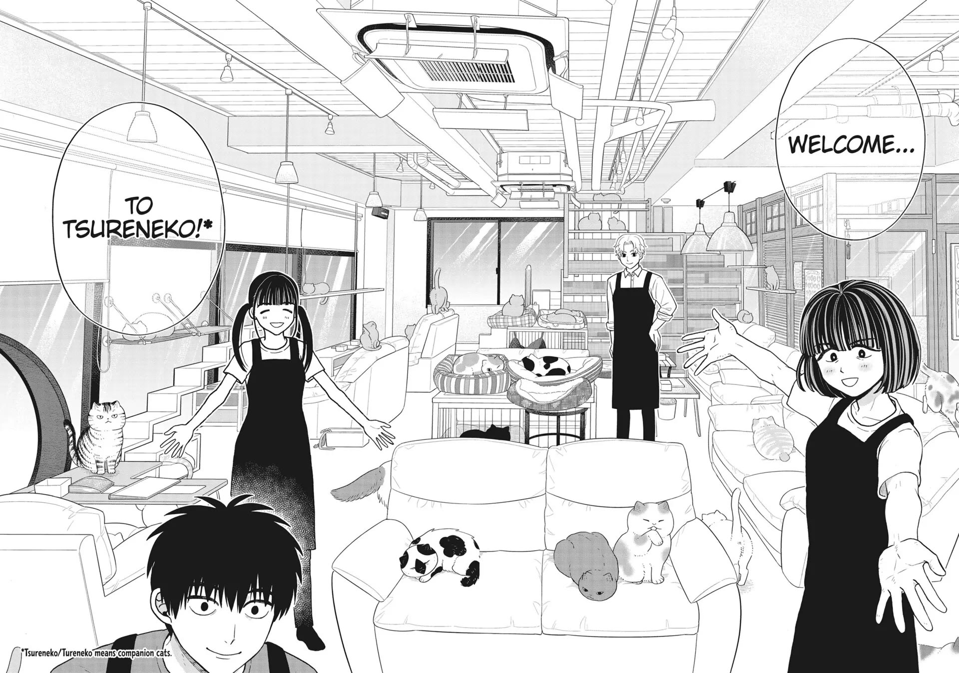 Cat Partners: Maruru and Hachi chapter 41 page 12
