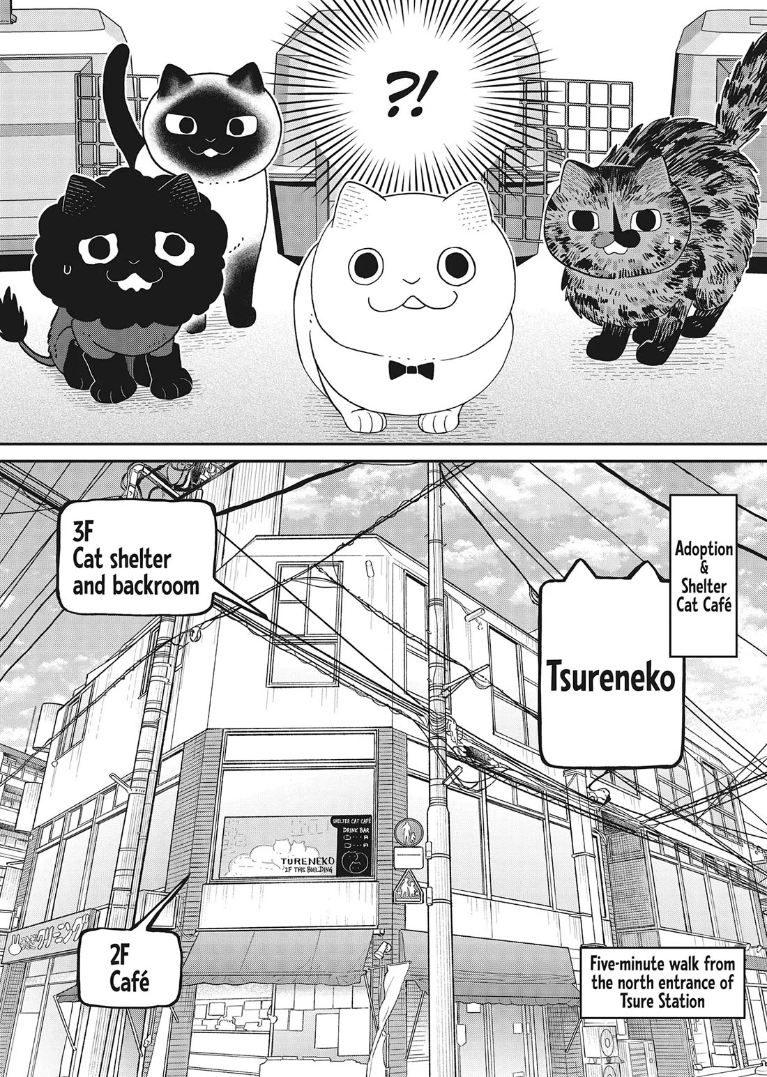Cat Partners: Maruru and Hachi chapter 41 page 13