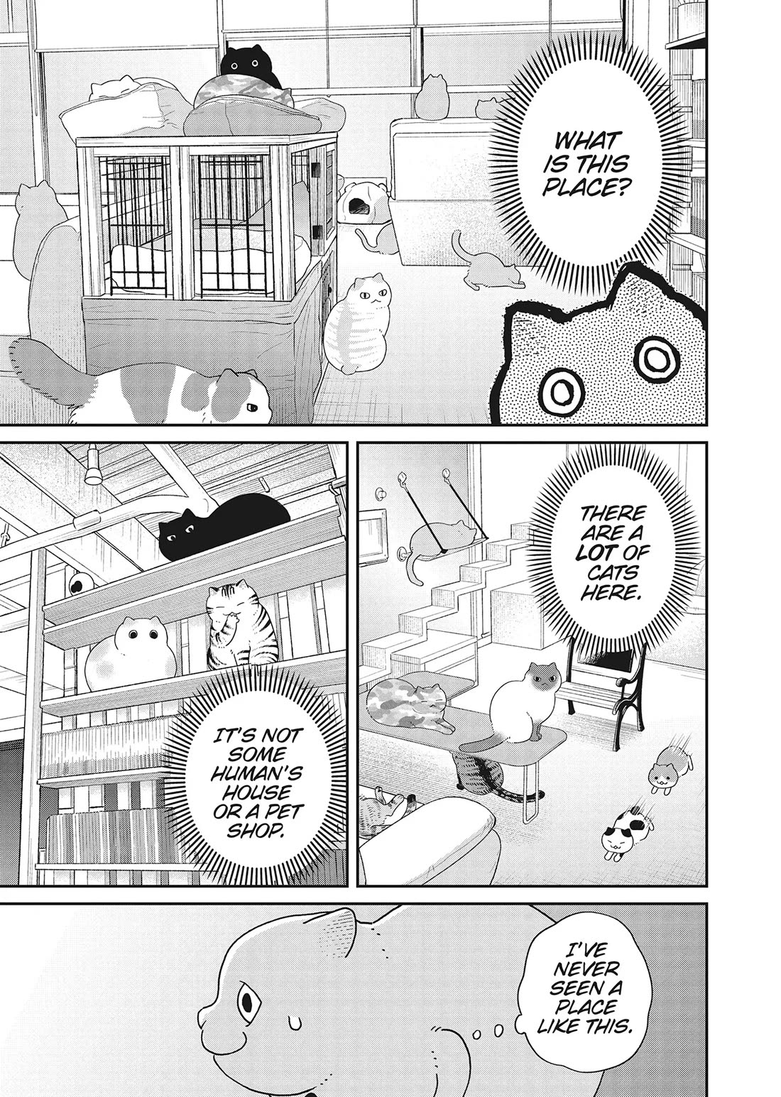 Cat Partners: Maruru and Hachi chapter 41 page 14