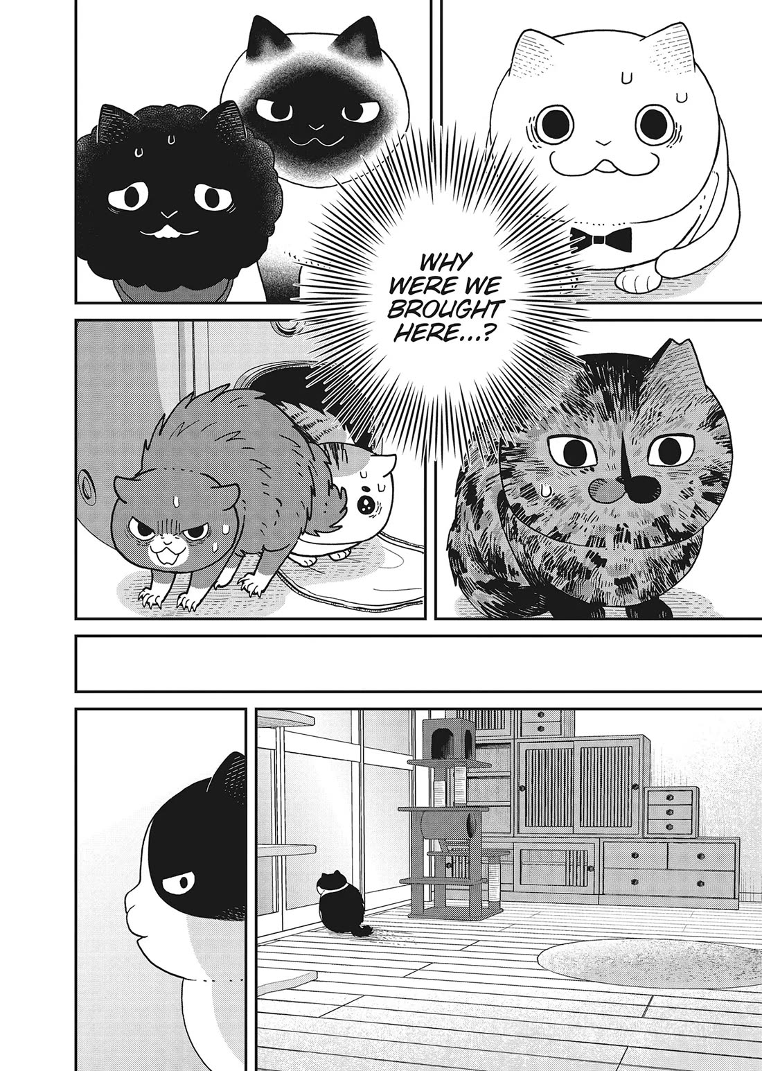 Cat Partners: Maruru and Hachi chapter 41 page 15