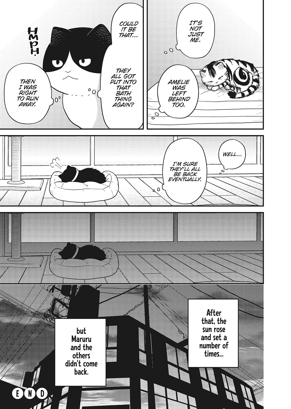 Cat Partners: Maruru and Hachi chapter 41 page 16