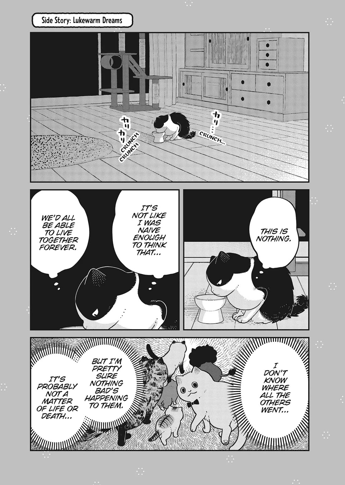 Cat Partners: Maruru and Hachi chapter 41 page 17