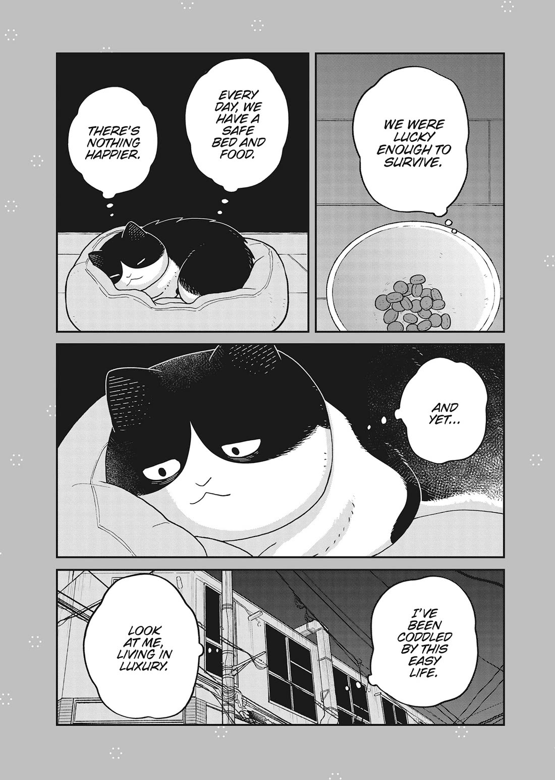 Cat Partners: Maruru and Hachi chapter 41 page 18