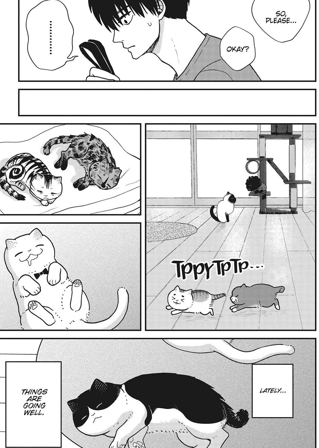 Cat Partners: Maruru and Hachi chapter 41 page 5
