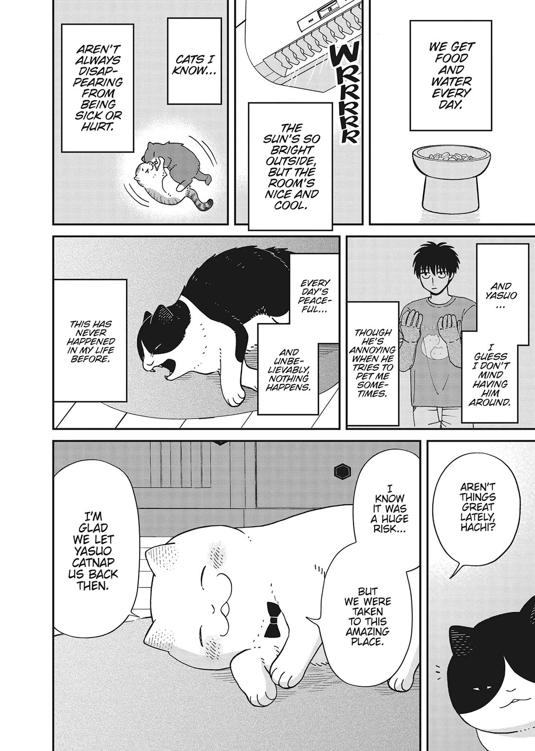 Cat Partners: Maruru and Hachi chapter 41 page 6
