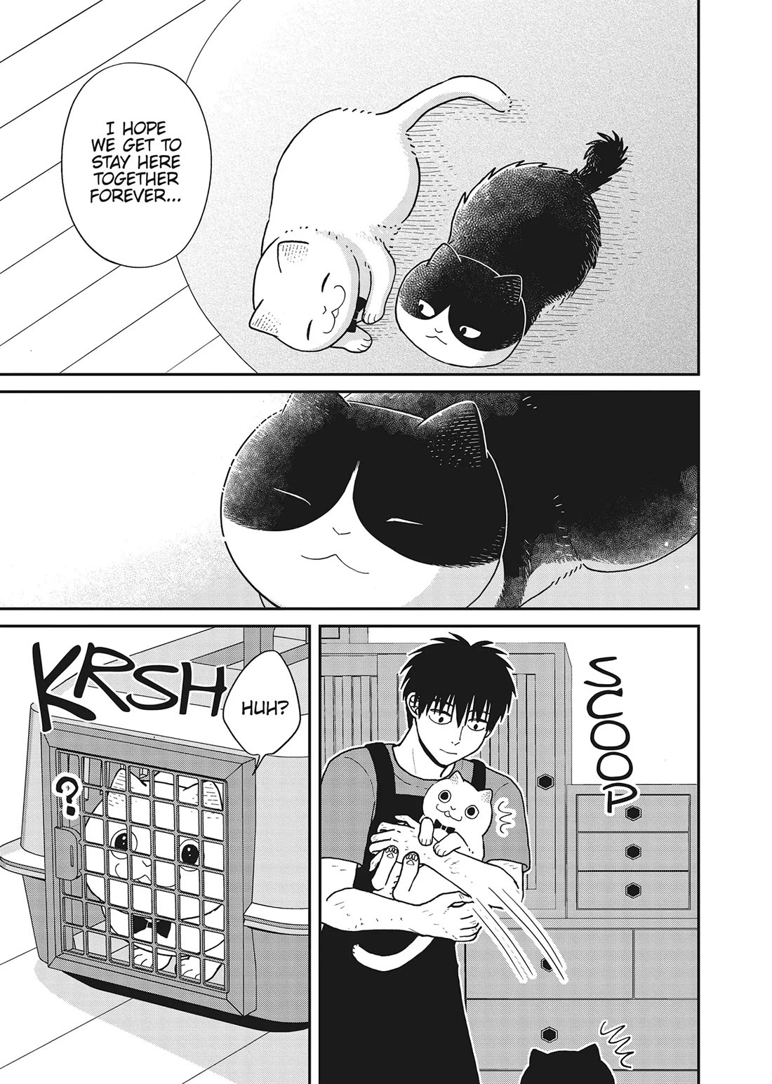 Cat Partners: Maruru and Hachi chapter 41 page 7