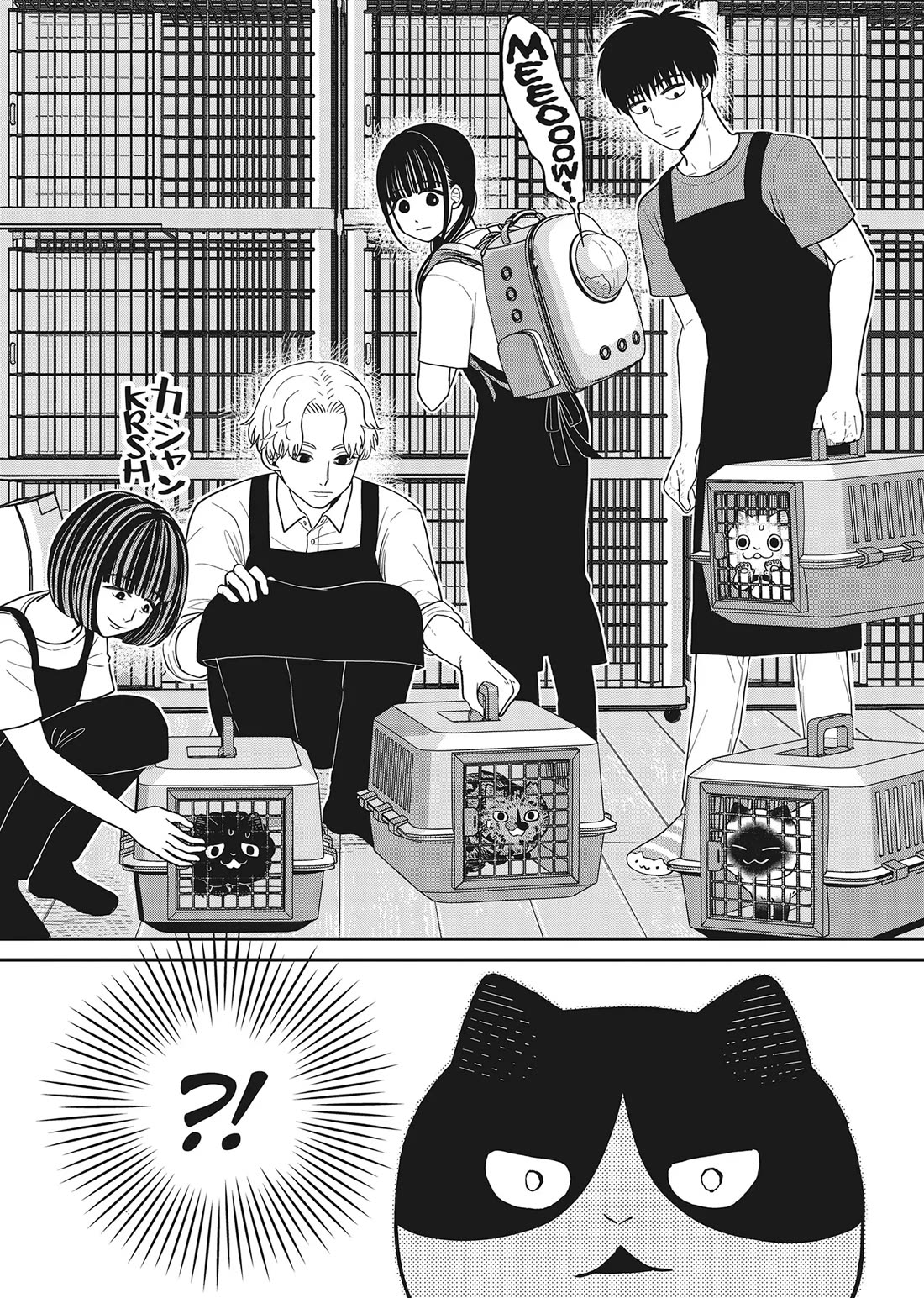 Cat Partners: Maruru and Hachi chapter 41 page 8