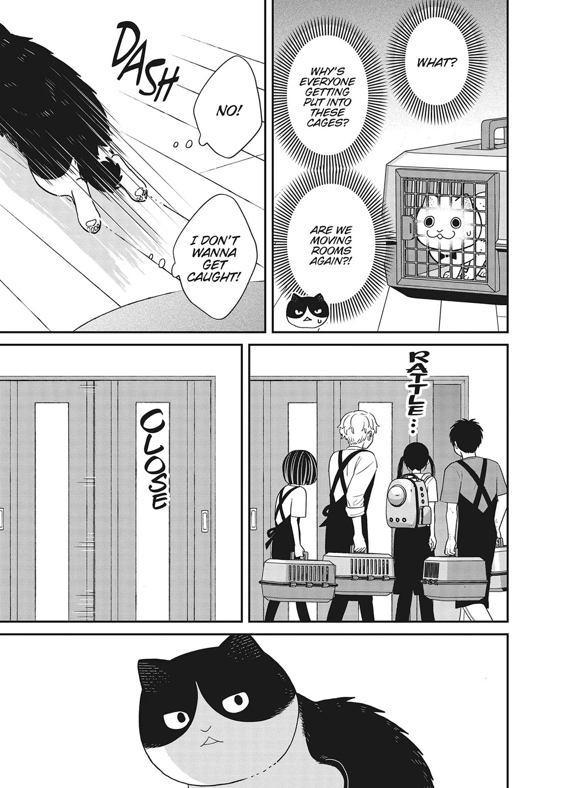 Cat Partners: Maruru and Hachi chapter 41 page 9
