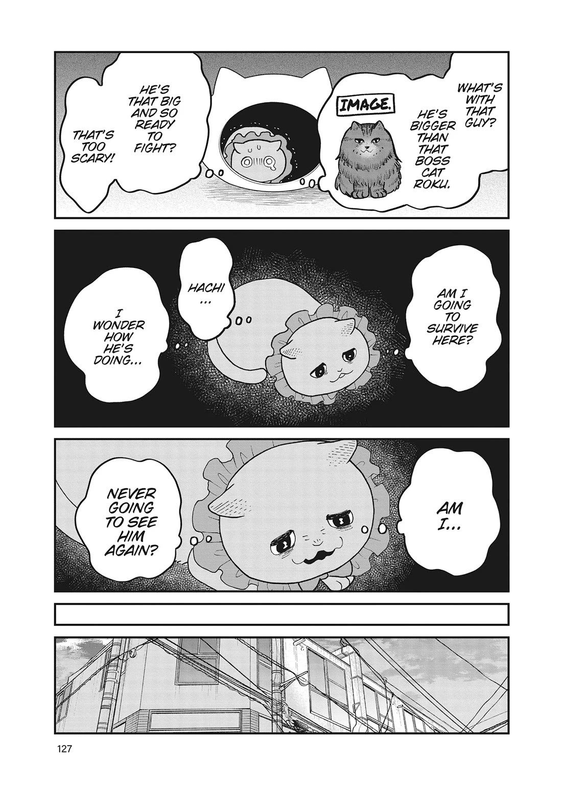 Cat Partners: Maruru and Hachi chapter 42 page 11