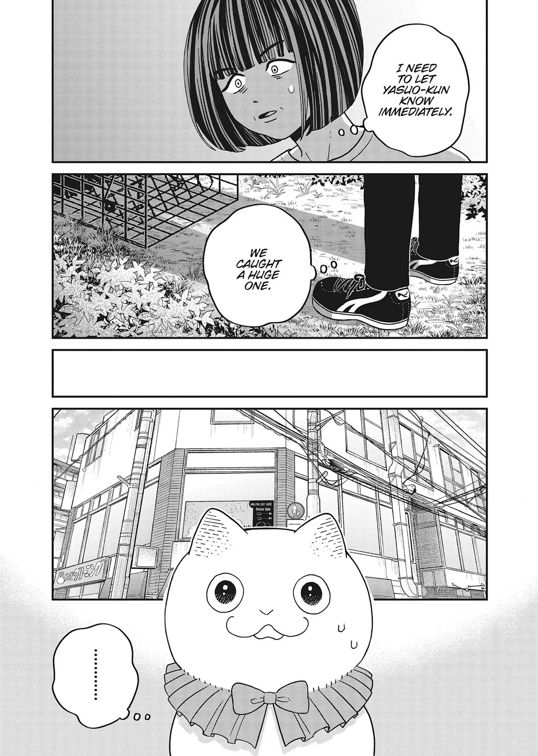 Cat Partners: Maruru and Hachi chapter 42 page 3
