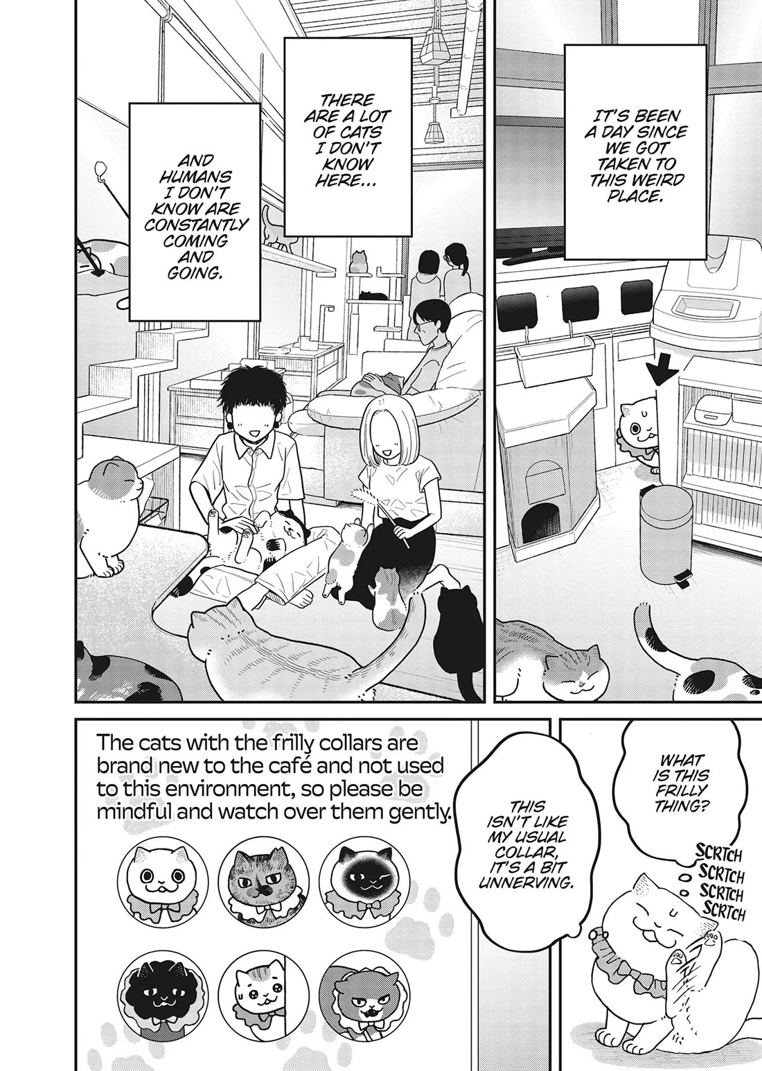 Cat Partners: Maruru and Hachi chapter 42 page 4