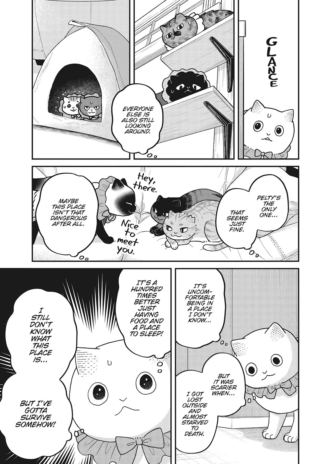 Cat Partners: Maruru and Hachi chapter 42 page 5