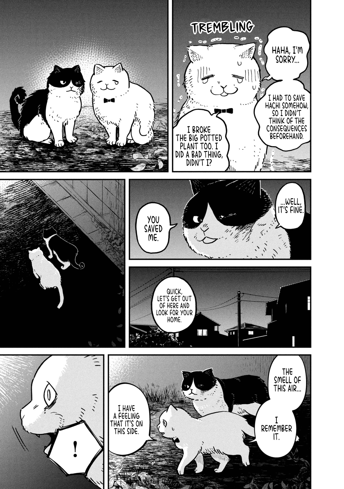 Cat Partners: Maruru and Hachi chapter 5 page 10