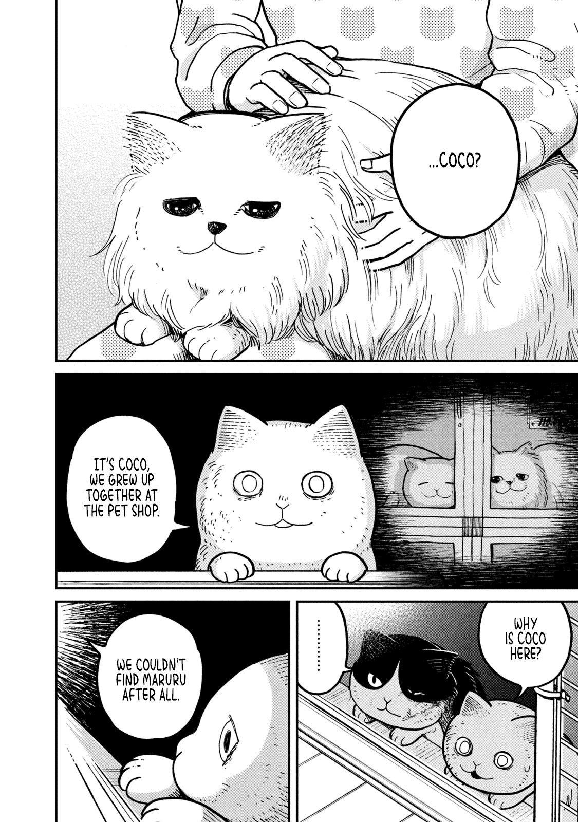 Cat Partners: Maruru and Hachi chapter 5 page 13