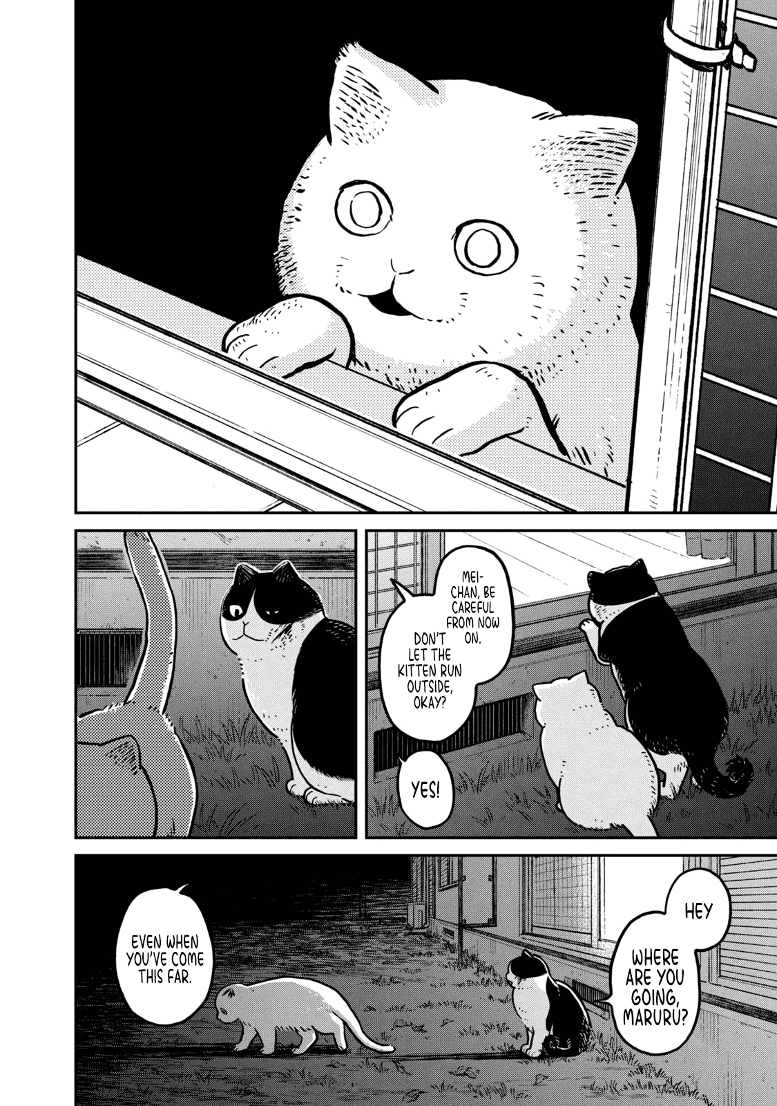 Cat Partners: Maruru and Hachi chapter 5 page 15