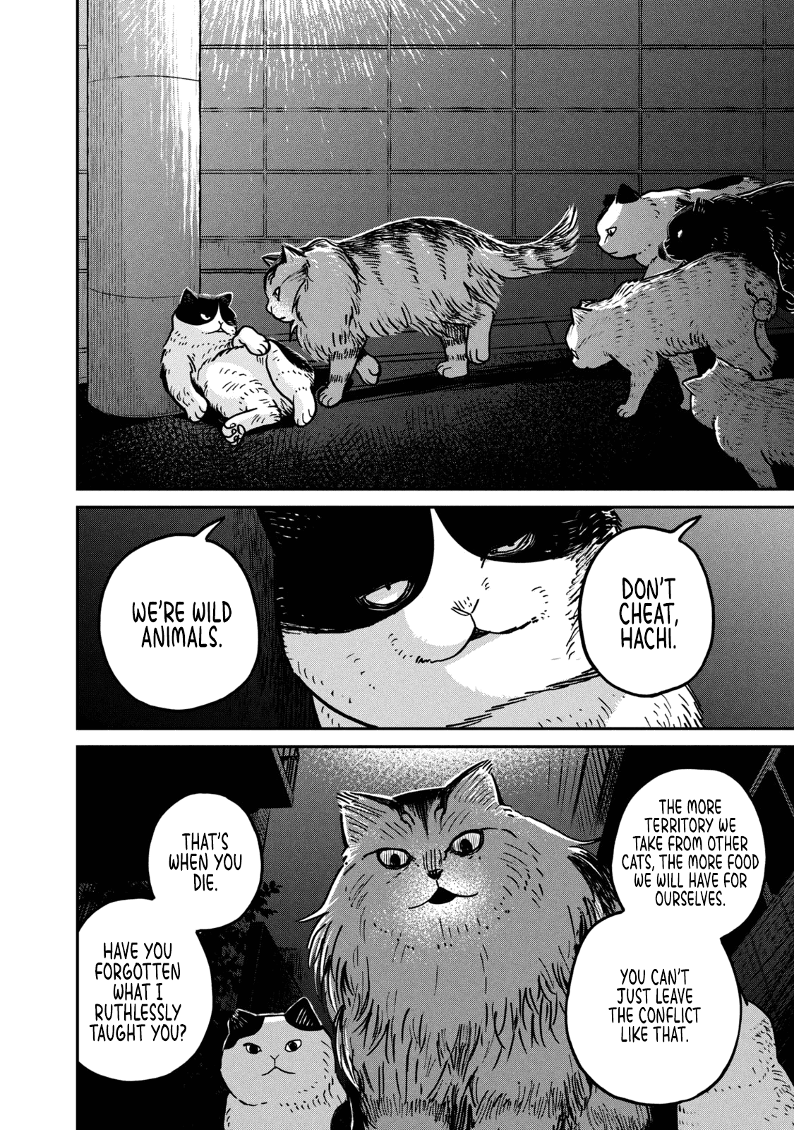 Cat Partners: Maruru and Hachi chapter 5 page 5