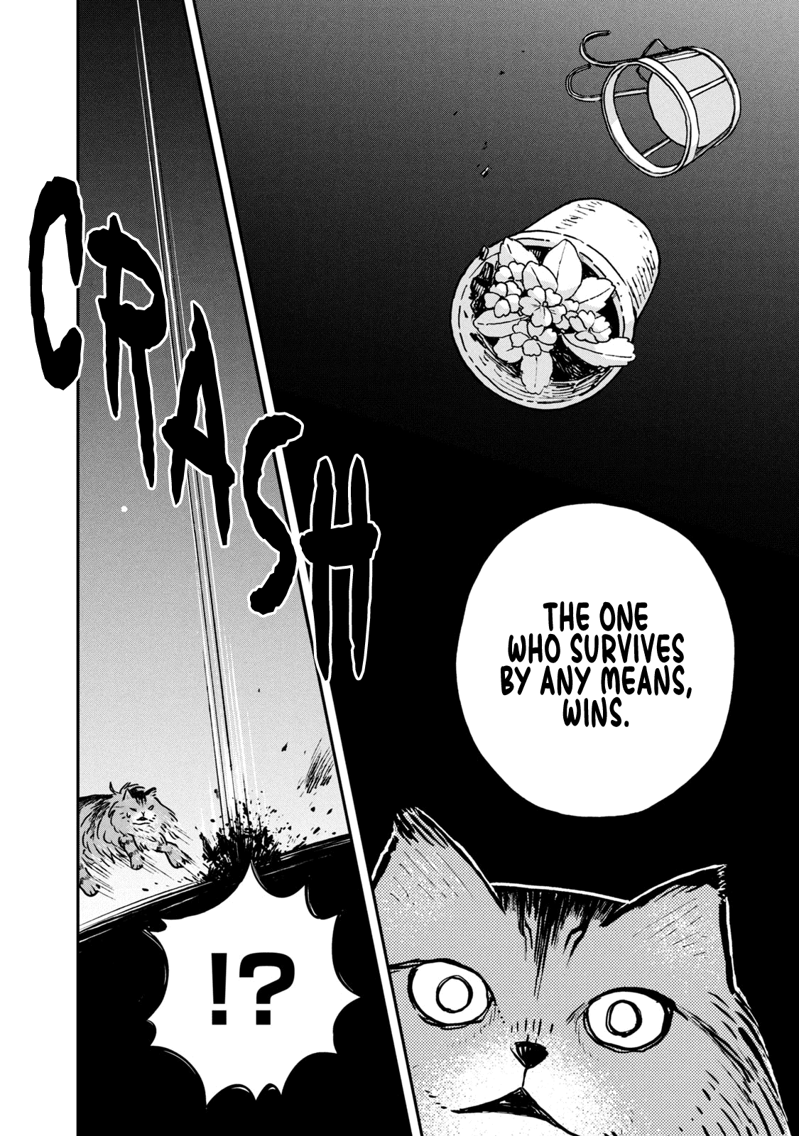 Cat Partners: Maruru and Hachi chapter 5 page 7