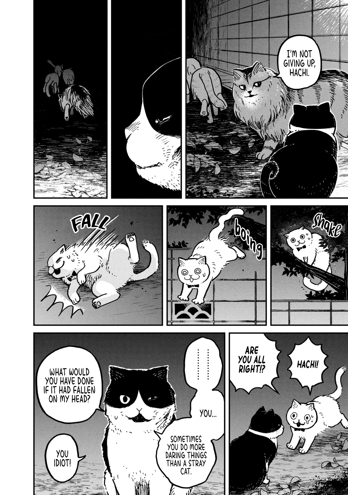 Cat Partners: Maruru and Hachi chapter 5 page 9