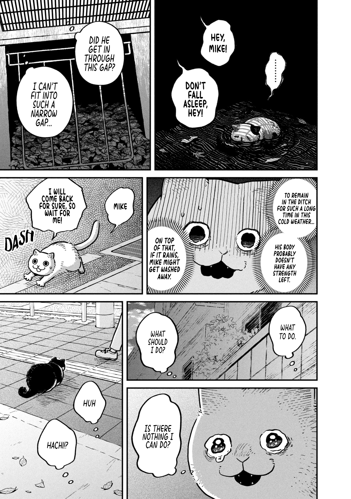 Cat Partners: Maruru and Hachi chapter 6 page 10