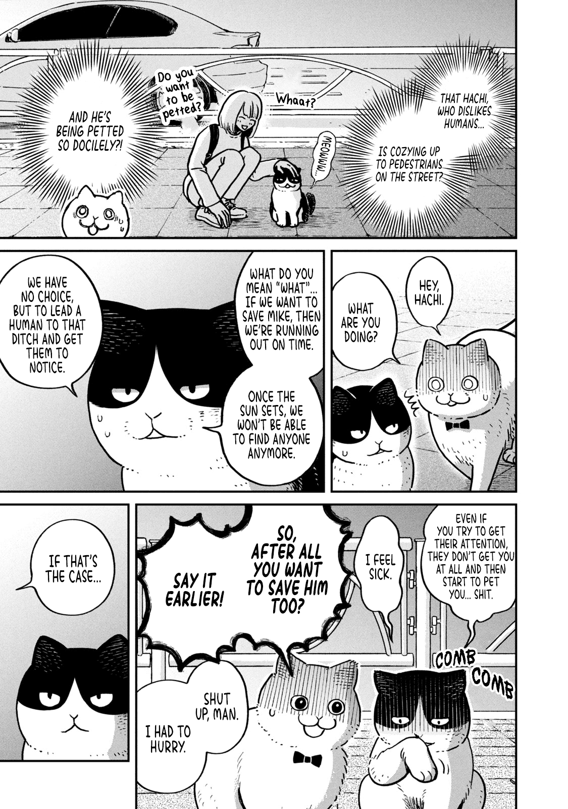 Cat Partners: Maruru and Hachi chapter 6 page 12