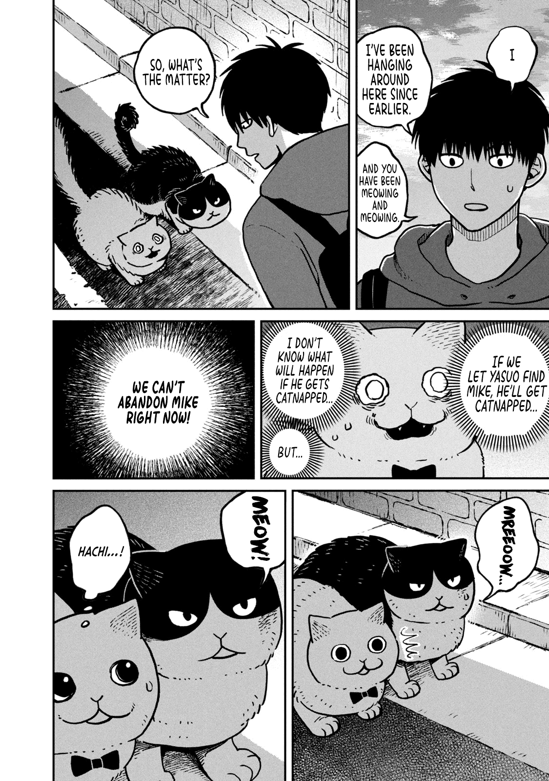 Cat Partners: Maruru and Hachi chapter 6 page 15