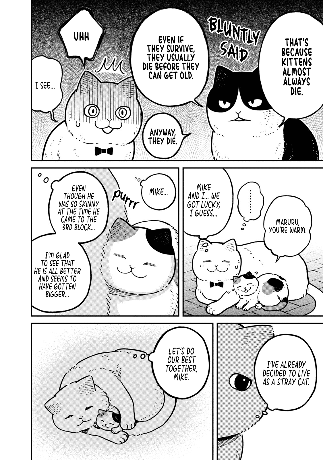 Cat Partners: Maruru and Hachi chapter 6 page 5