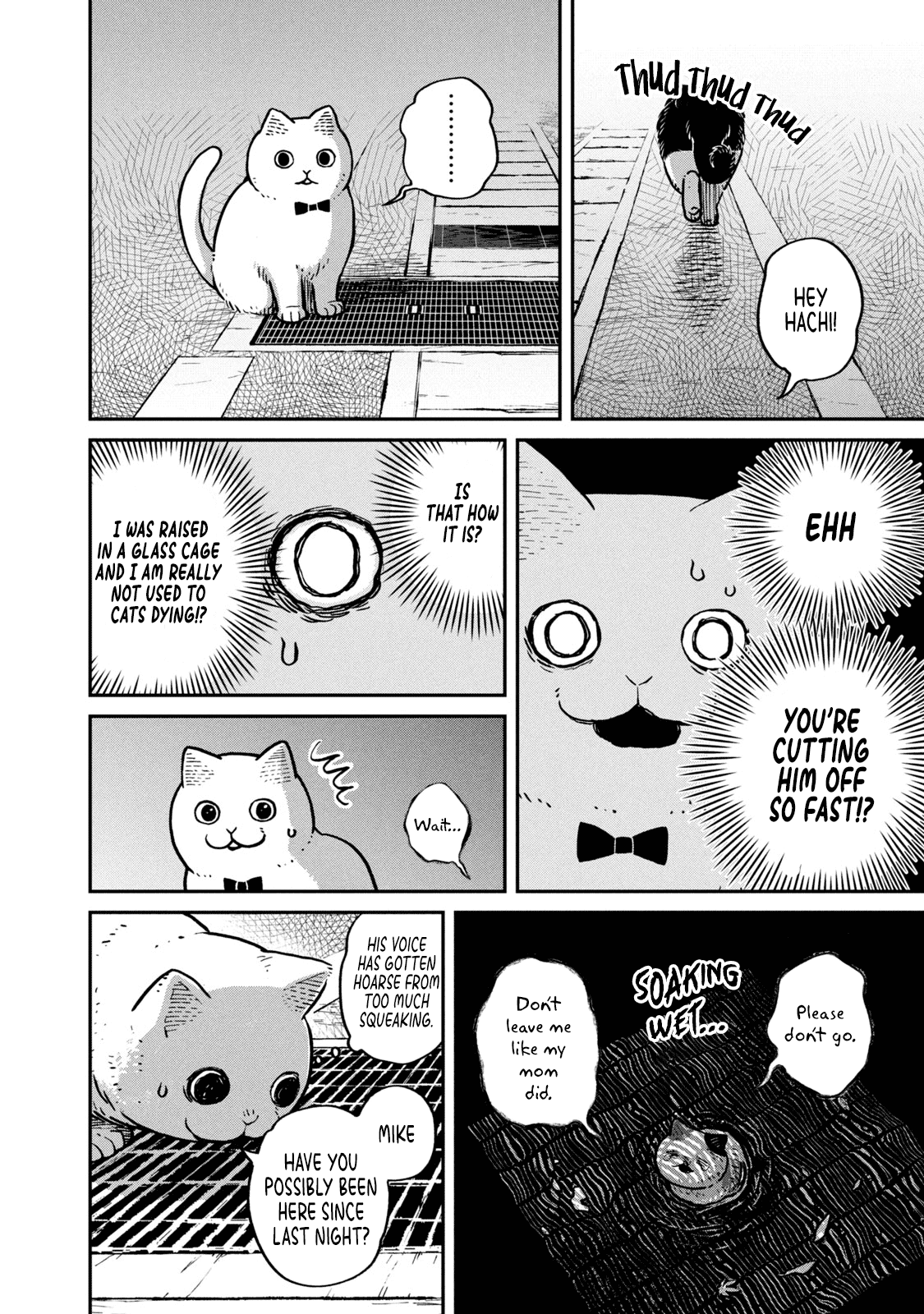 Cat Partners: Maruru and Hachi chapter 6 page 9