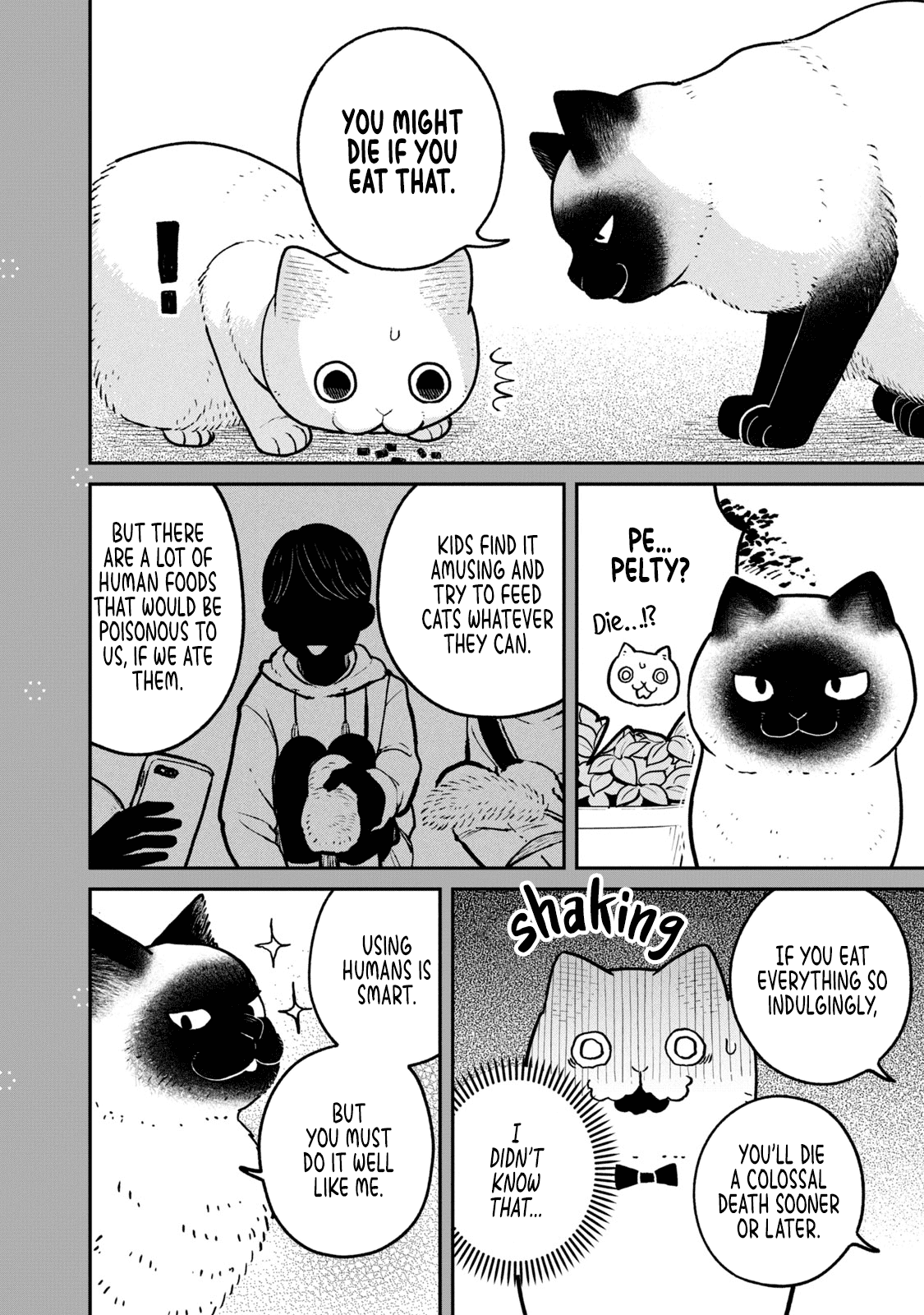Cat Partners: Maruru and Hachi chapter 9.2 page 2