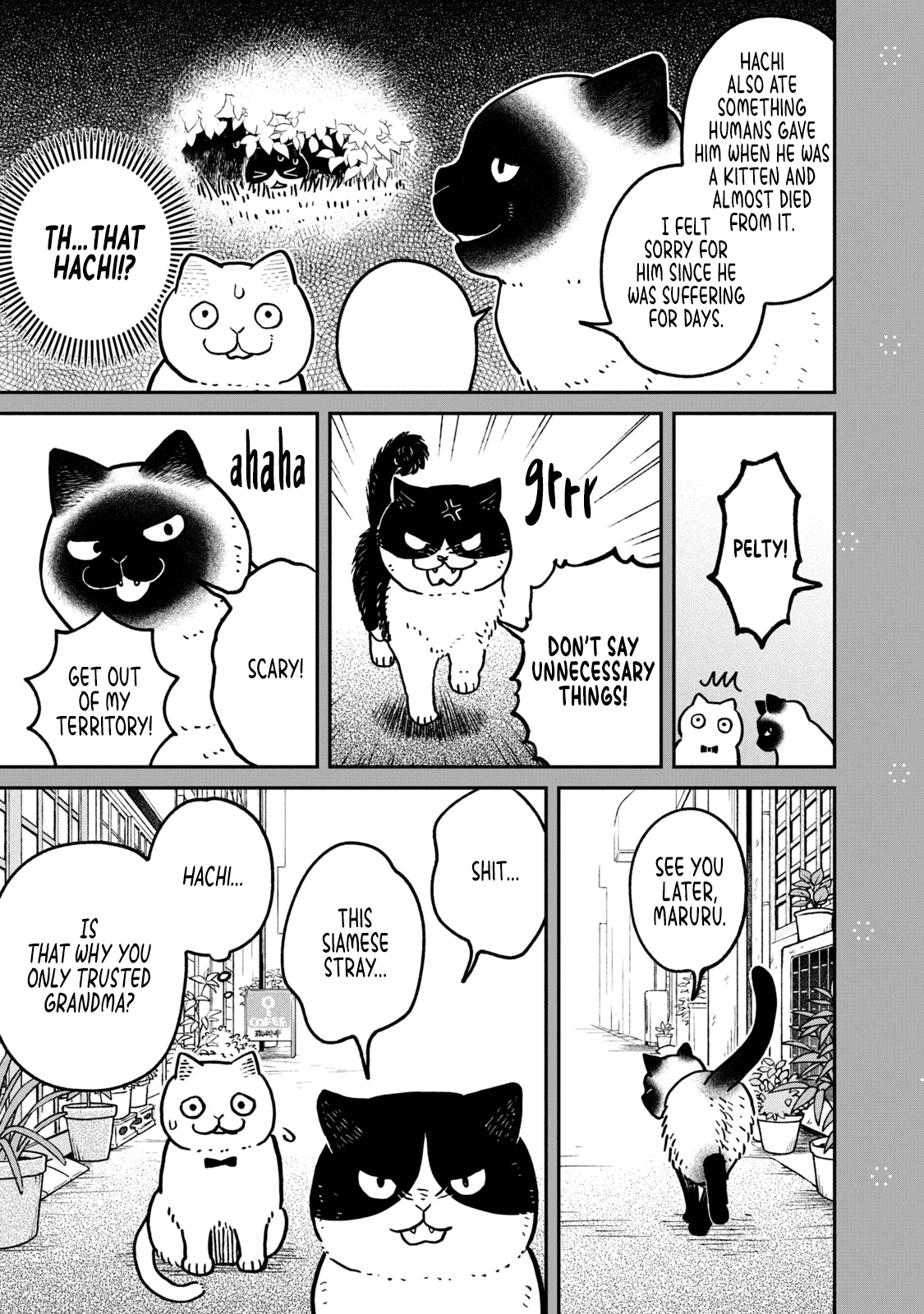 Cat Partners: Maruru and Hachi chapter 9.2 page 3