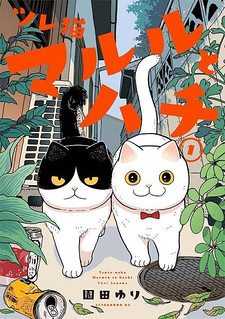 Cover of Cat Partners: Maruru and Hachi