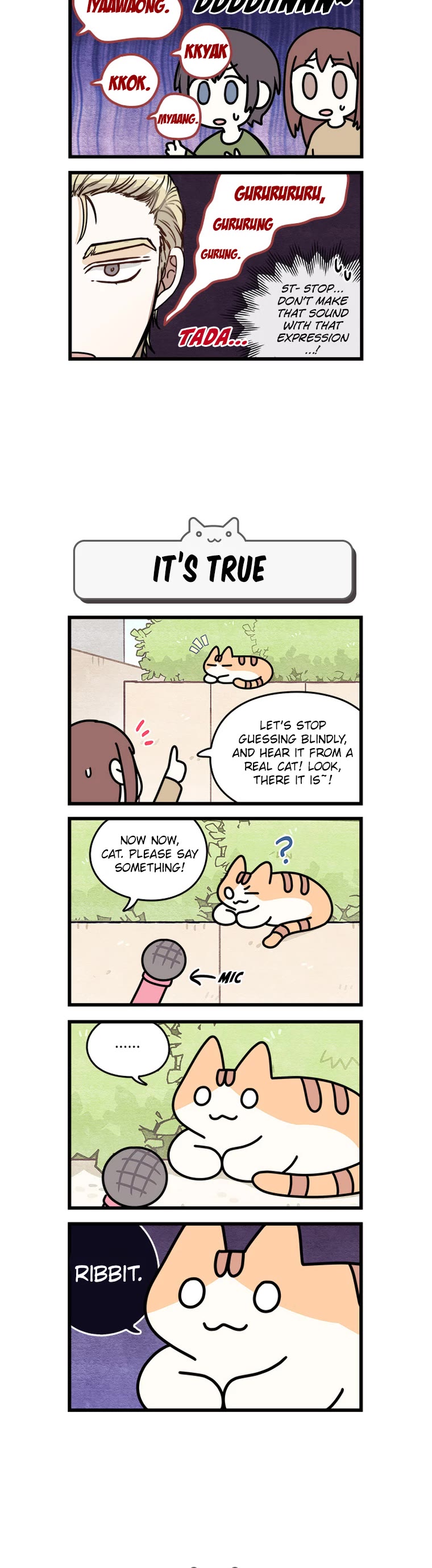 Cats Own the World chapter 105 page 4