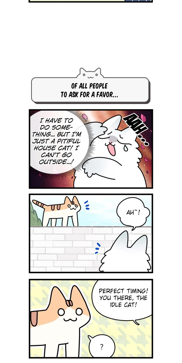 Cats Own the World chapter 106 page 5