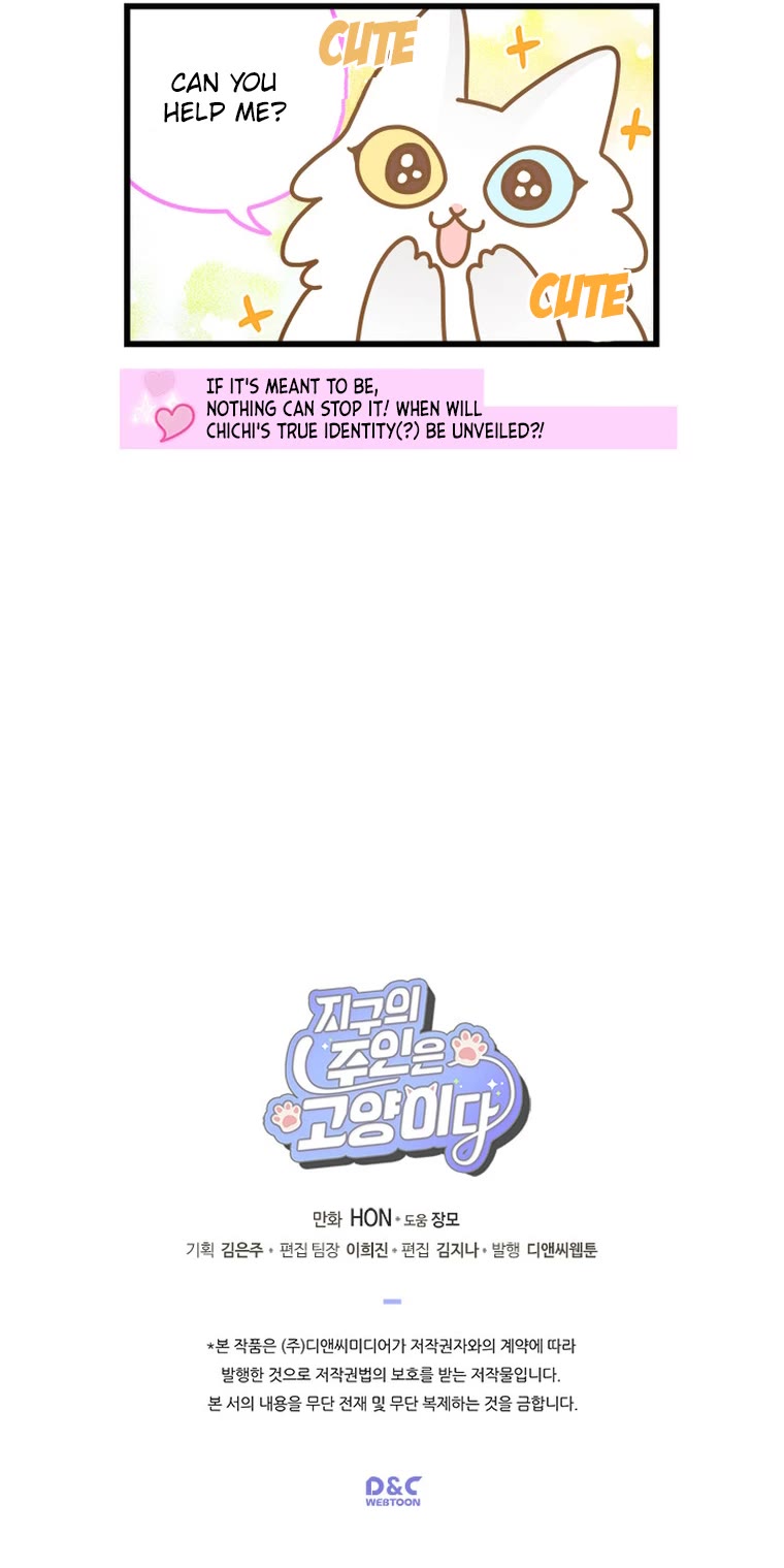 Cats Own the World chapter 106 page 6