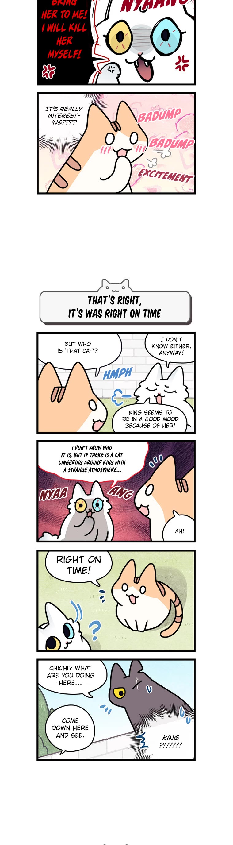 Cats Own the World chapter 107 page 4