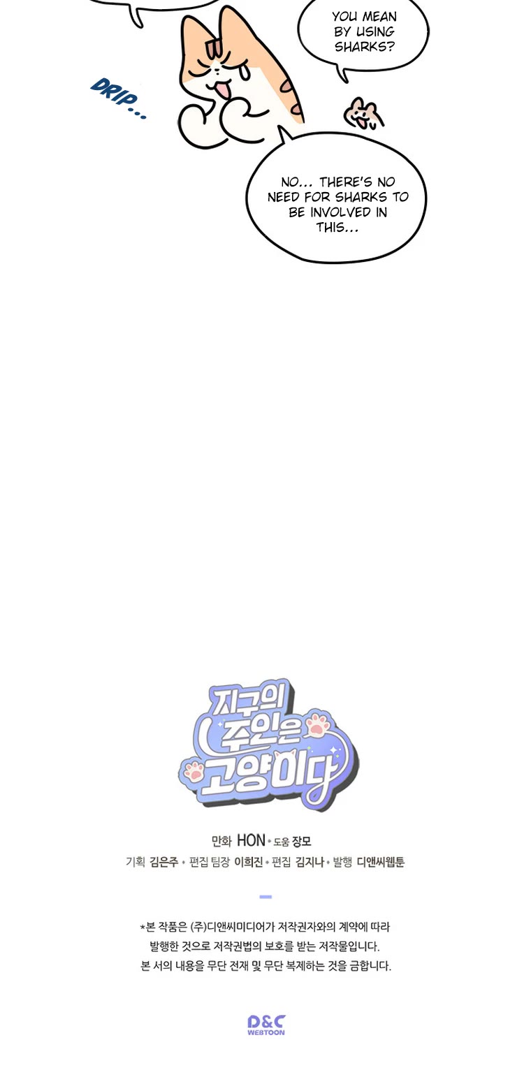 Cats Own the World chapter 133 page 6