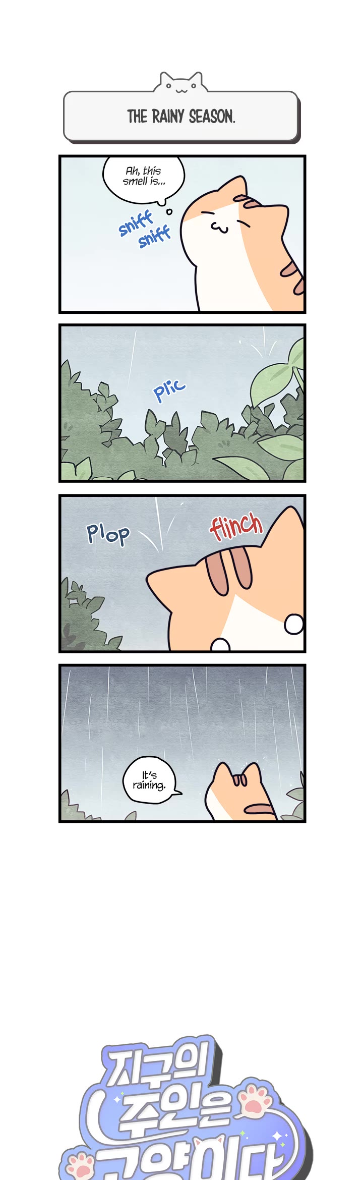 Cats Own the World chapter 15 page 1