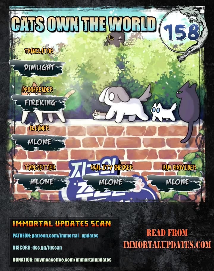 Cats Own the World chapter 158 page 1