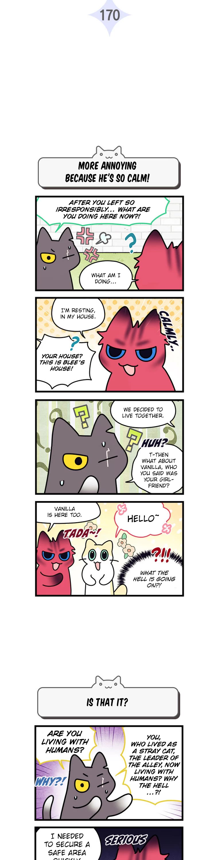 Cats Own the World chapter 170 page 3